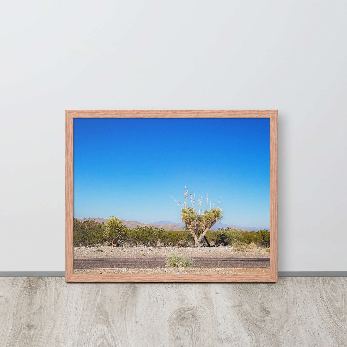 Desert Tranquility: Joshua Tree in Arizona | Framed Photography Print