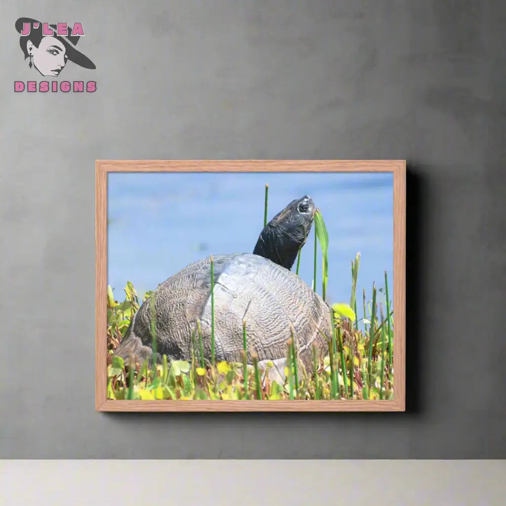 Nature’s Grace - A Turtle’s Moment Framed Fine Art Print by J’Lea Designs - Wall Art
