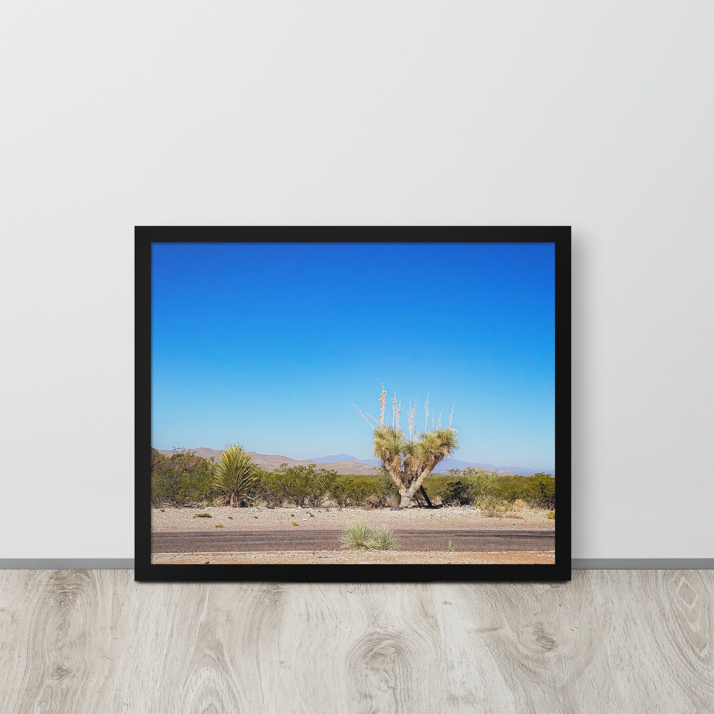 Desert Tranquility: Joshua Tree in Arizona | Framed Photography Print