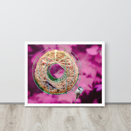 Breakfast with Finch | Framed Photography Print