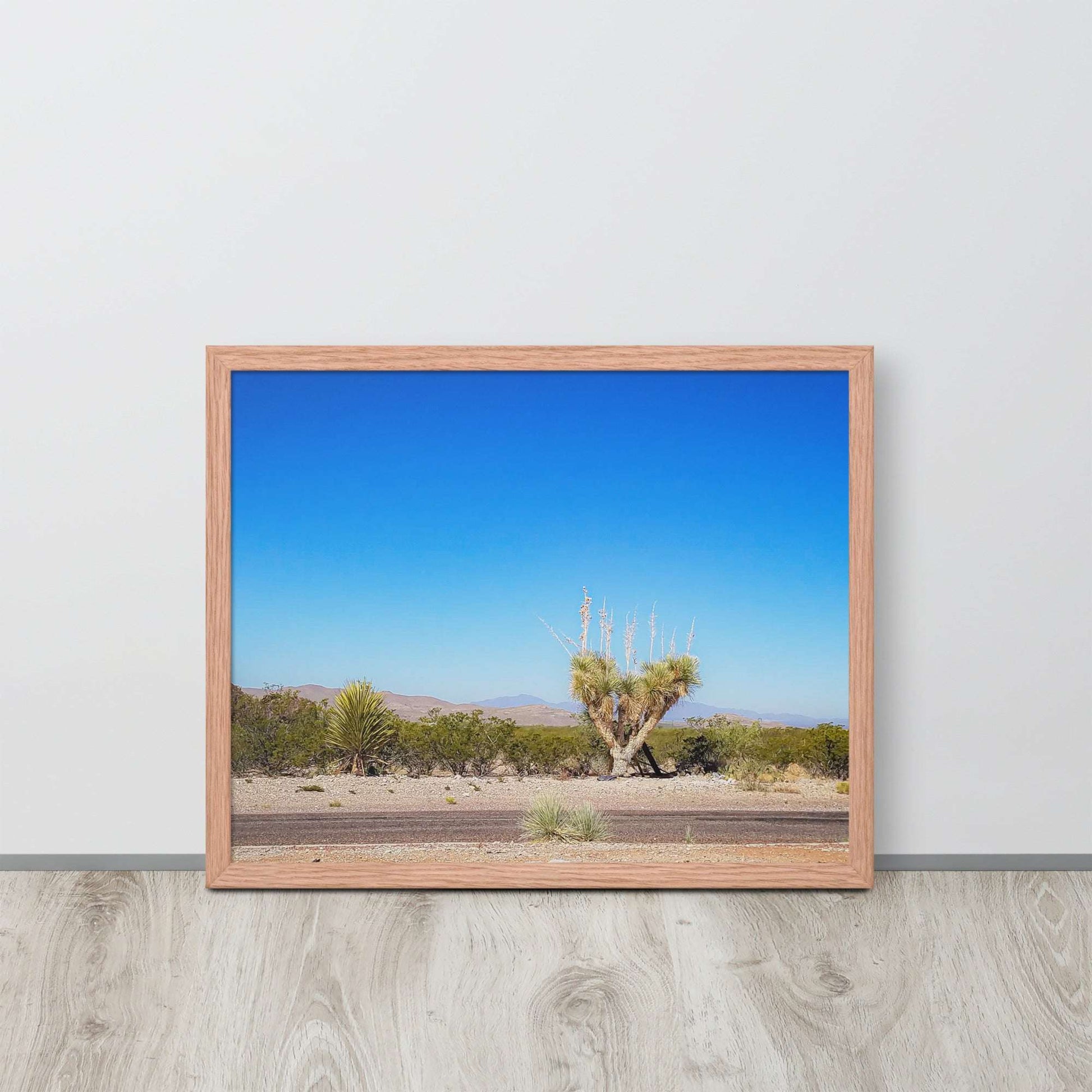 Desert Tranquility: Joshua Tree in Arizona | Framed Photography Print