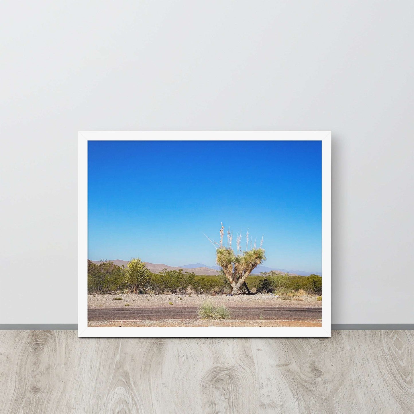 Desert Tranquility: Joshua Tree in Arizona | Framed Photography Print
