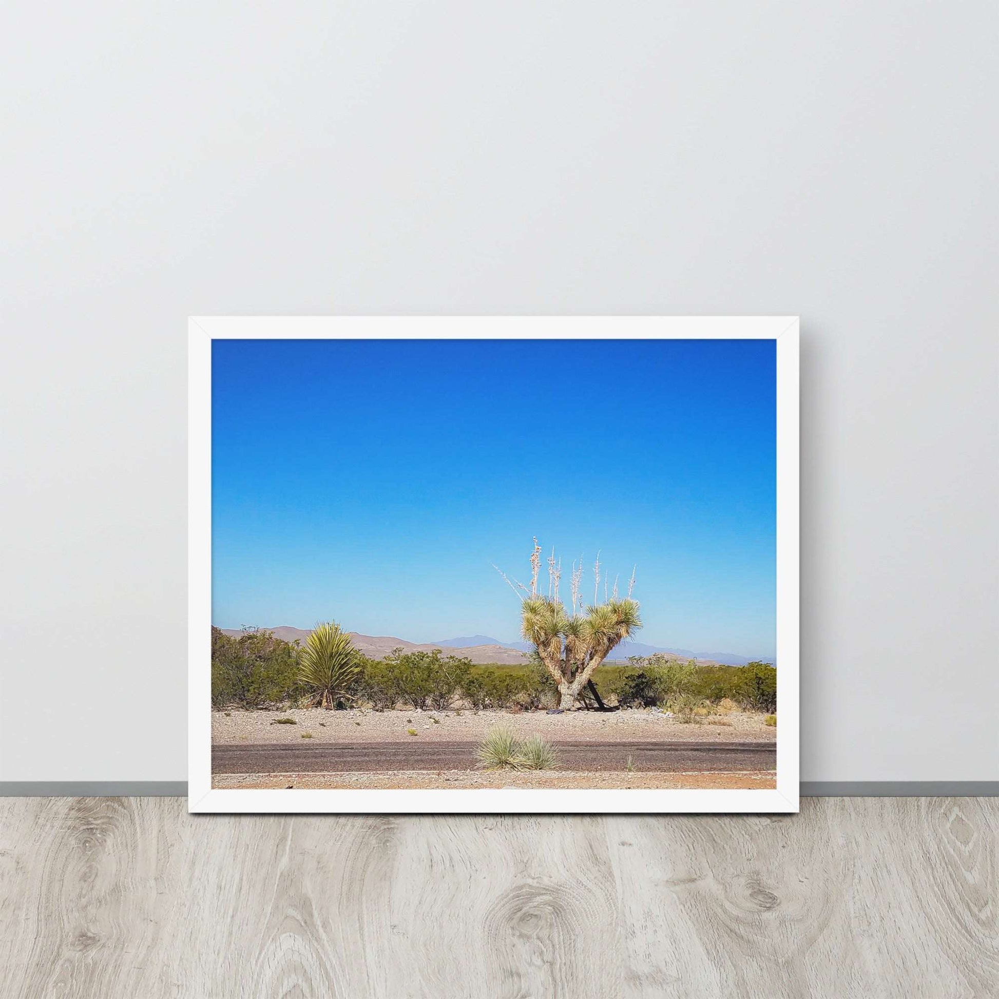 Desert Tranquility: Joshua Tree in Arizona | Framed Photography Print