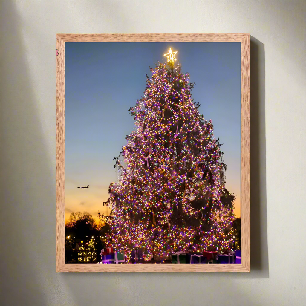 Festive Glow: White House Christmas | Framed Fine Art Landscape Print by J’Lea Designs - Wall Art