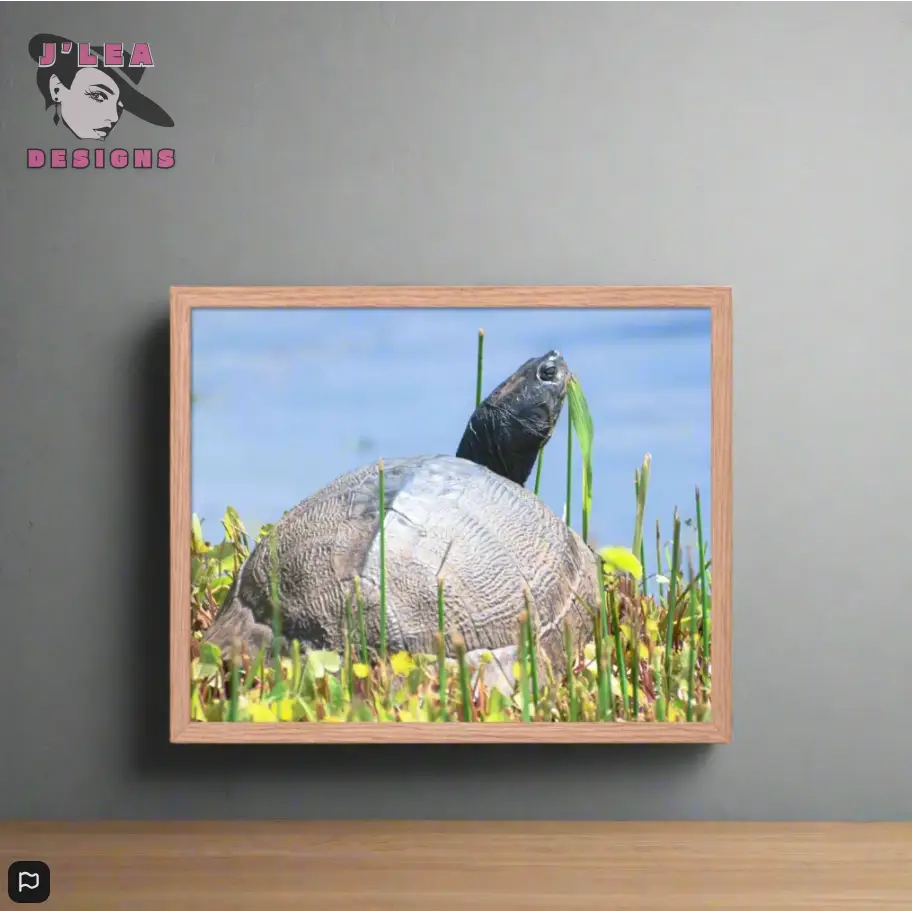 Nature’s Grace - A Turtle’s Moment Framed Fine Art Print by J’Lea Designs - Wall Art