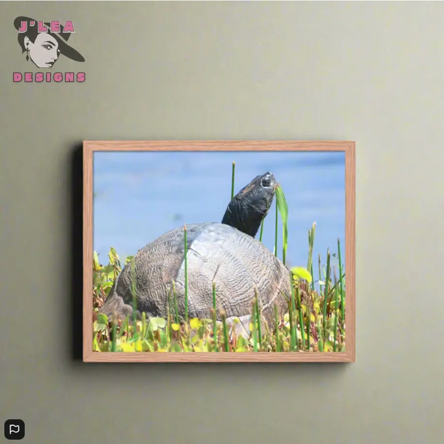 Nature’s Grace - A Turtle’s Moment Framed Fine Art Print by J’Lea Designs - Wall Art