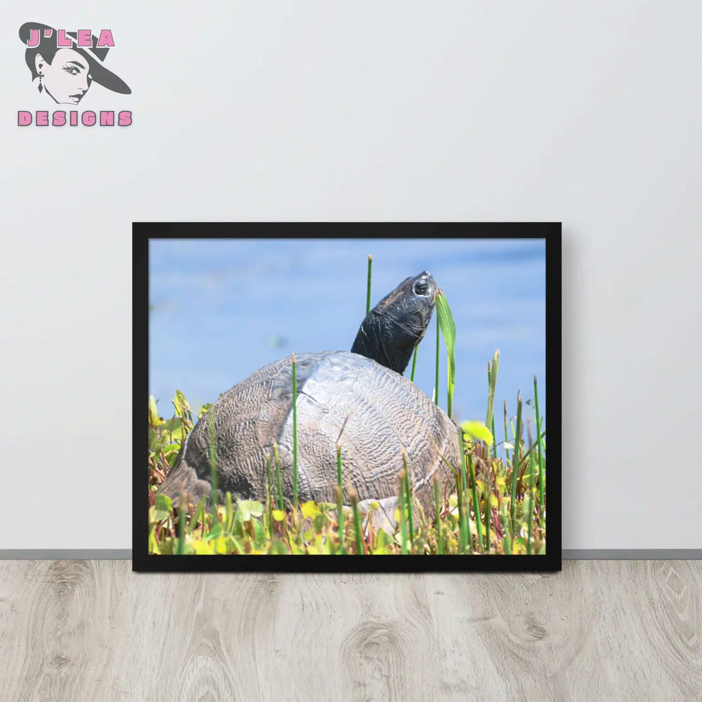 Nature's Grace: The Turtle's Moment | Framed Photography Print - J'Lea Designs