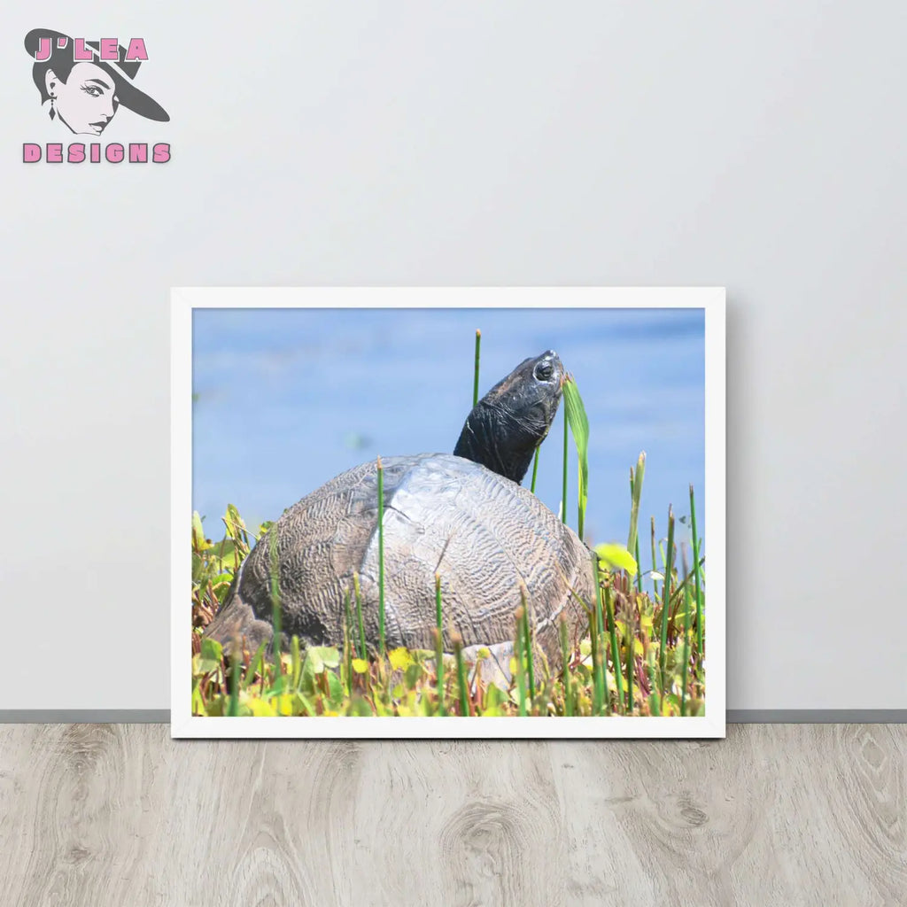 Nature's Grace: The Turtle's Moment | Framed Photography Print - J'Lea Designs