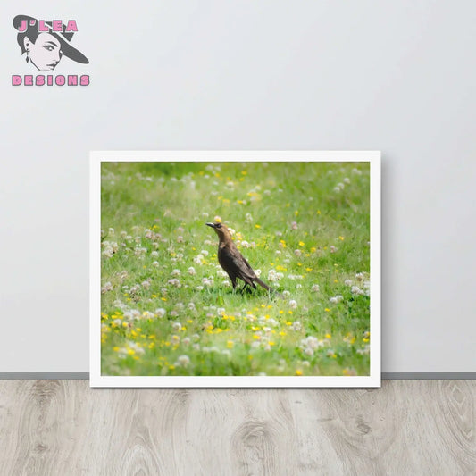 Wildlife Wonders: Grackle in the Meadow | Framed Photography Print - J'Lea Designs